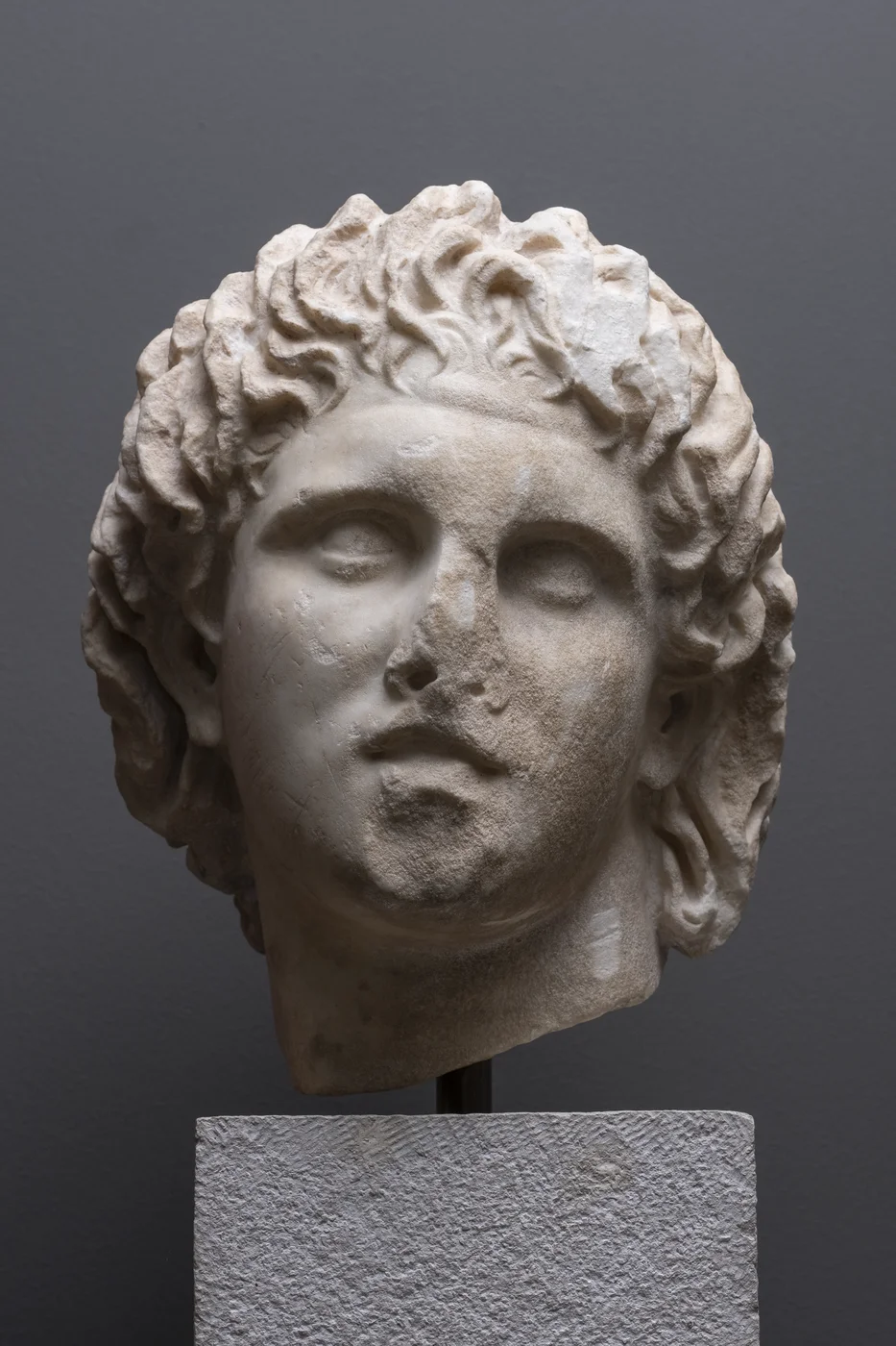 ARXAIA PELLA 321 0036 MOYSEIO GG