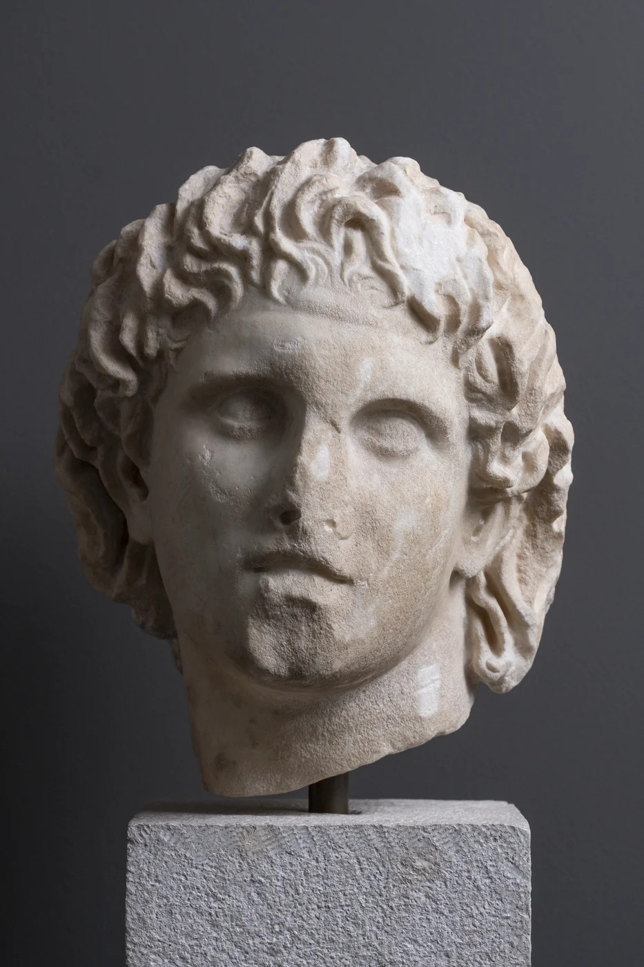 ARXAIA PELLA 321 0026 MOYSEIO GG