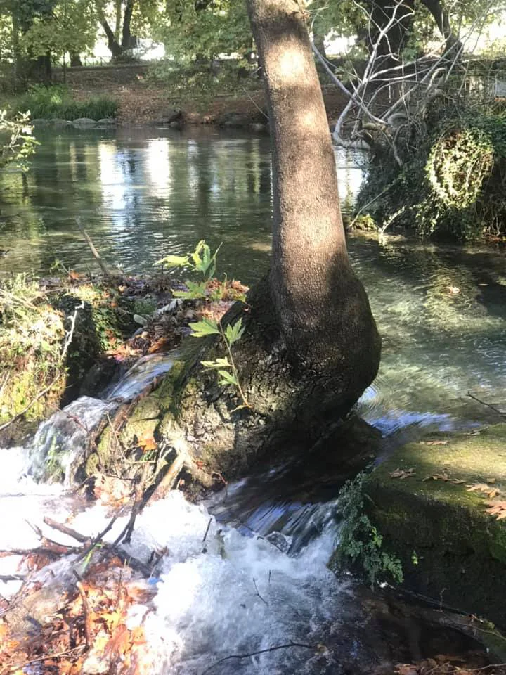 Πήγες Αραβίσου3 visit pella.