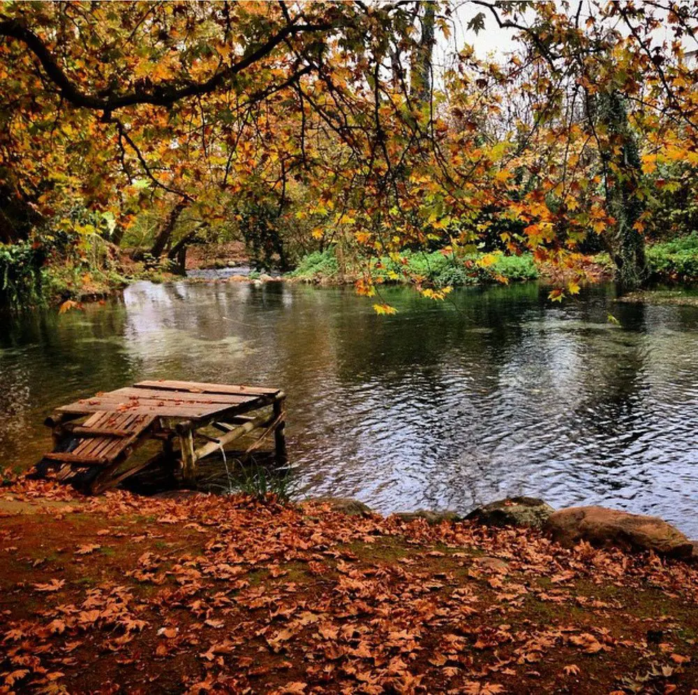 Πήγες Αραβίσου5 visit pella.