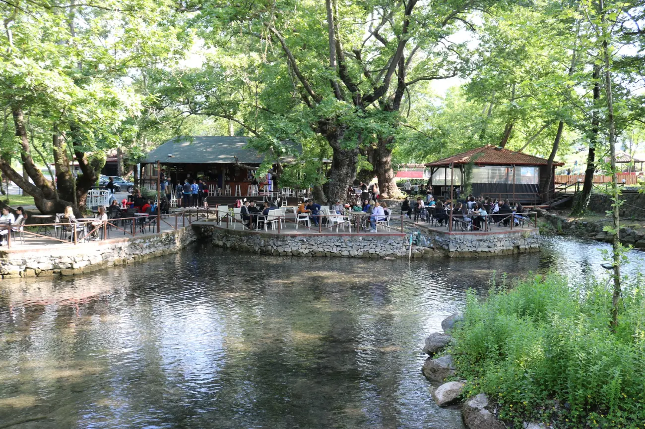 Πήγες Αραβίσου6 visit pella.